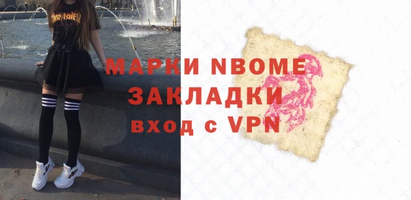 хмурый Белокуриха