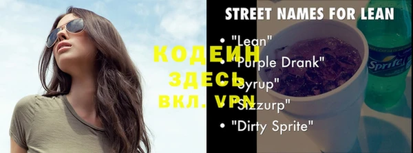 хмурый Белокуриха