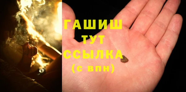 хмурый Белокуриха