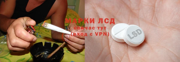 хмурый Белокуриха