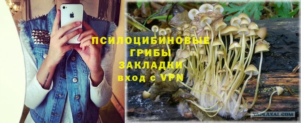 2c-b Белоозёрский