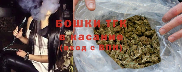 хмурый Белокуриха