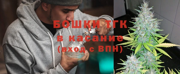 хмурый Белокуриха