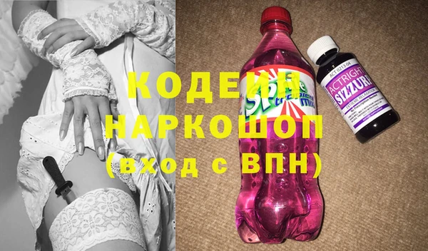 хмурый Белокуриха