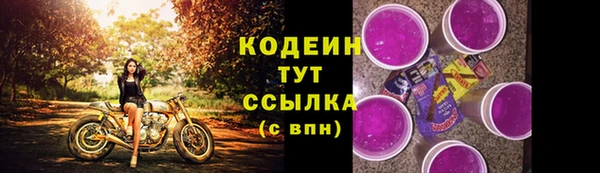 хмурый Белокуриха