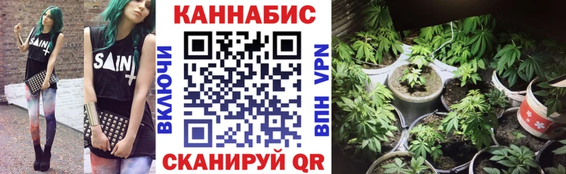 Марихуана сатива  купить наркотики цена  Лосино-Петровский 
